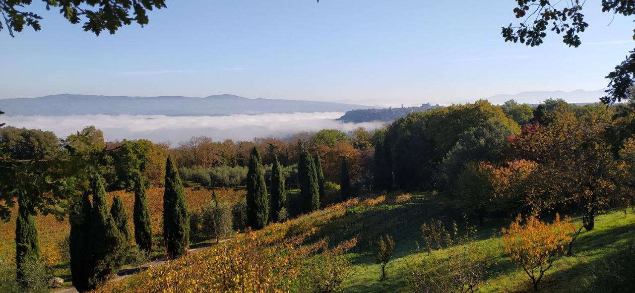 Villa La Chiusetta Orvieto Exterior foto